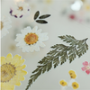 Suatelier sticker - dear flower