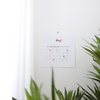 Suatelier sticker - plain.02