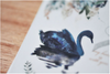 MU Print-On Sticker - Botanical Series 32 - Blue Roses