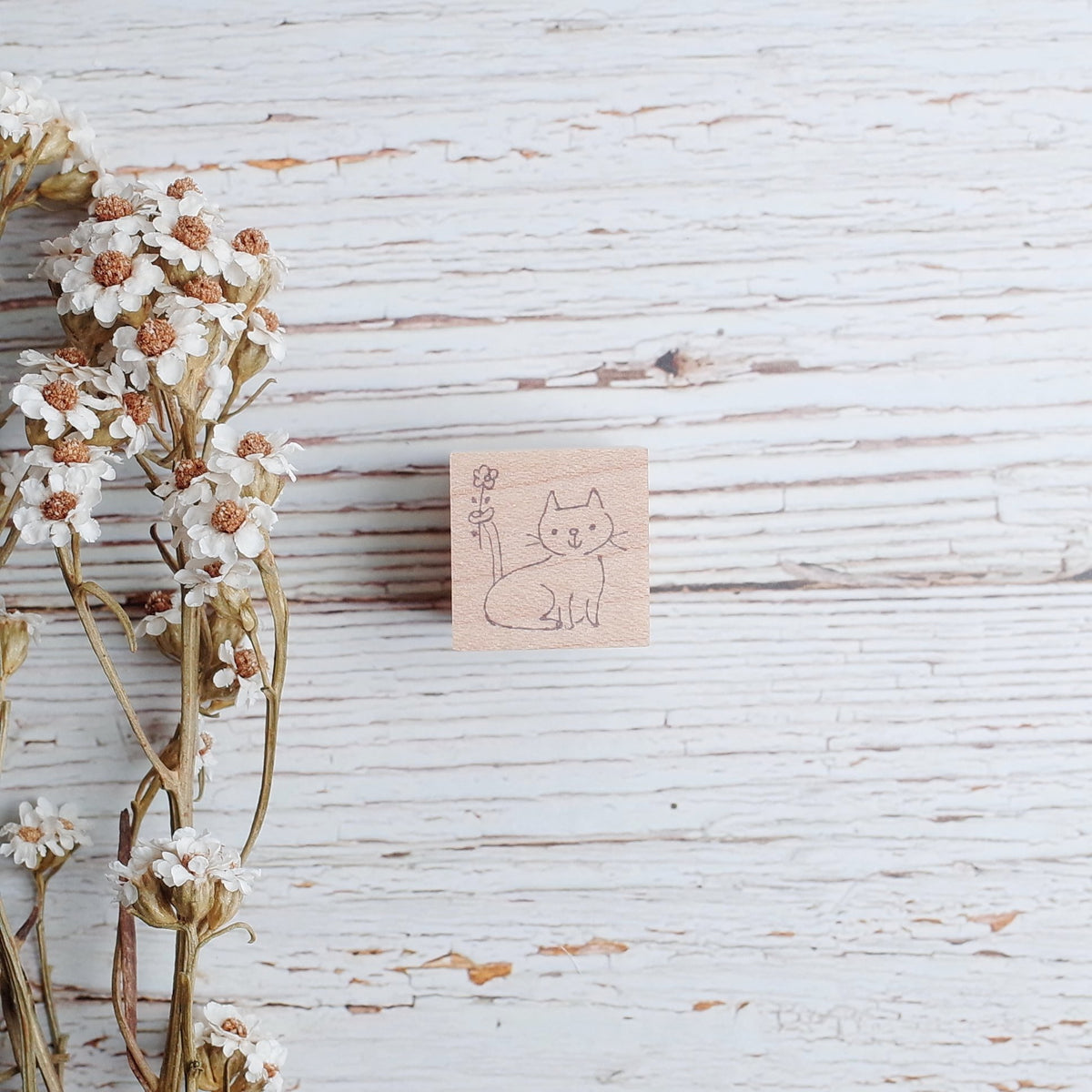 BOUS stamp - Cat with flower – petit zakkaya
