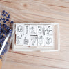 36 Sublo x Hoshino Shiho number rubber stamp set