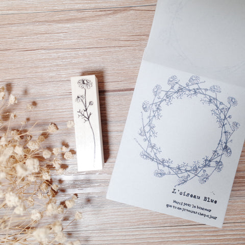 Kubominoki stamp - botanical series - Chamomile