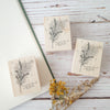 Nonnlala rubber stamp - Mimosa