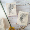 Nonnlala rubber stamp - Mimosa